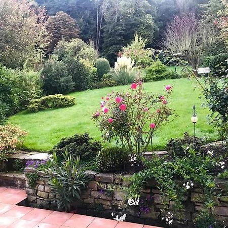 شقة Ein Zuhause Mit Schonem Garten بون المظهر الخارجي الصورة